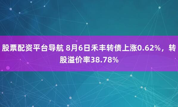 股票配资平台导航 8月6日禾丰转债上涨0.62%，转股溢价率38.78%